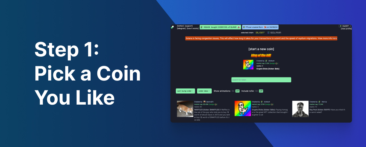 Pick a coin on pump.fun